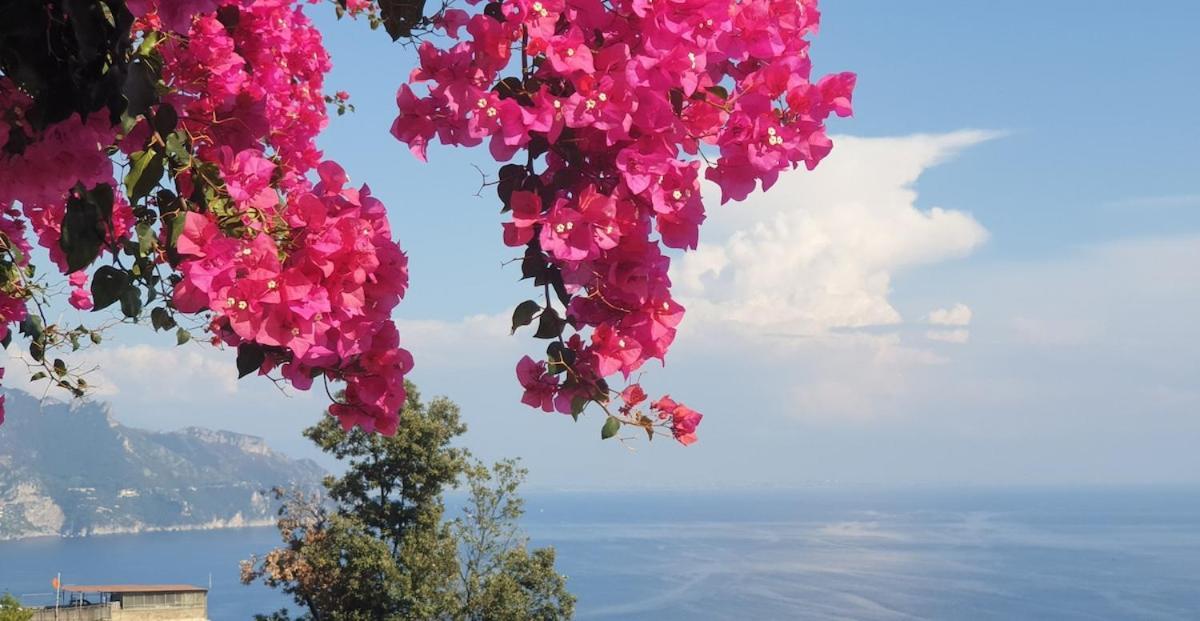 Villa Grace Amalfi Seaview Eksteriør billede