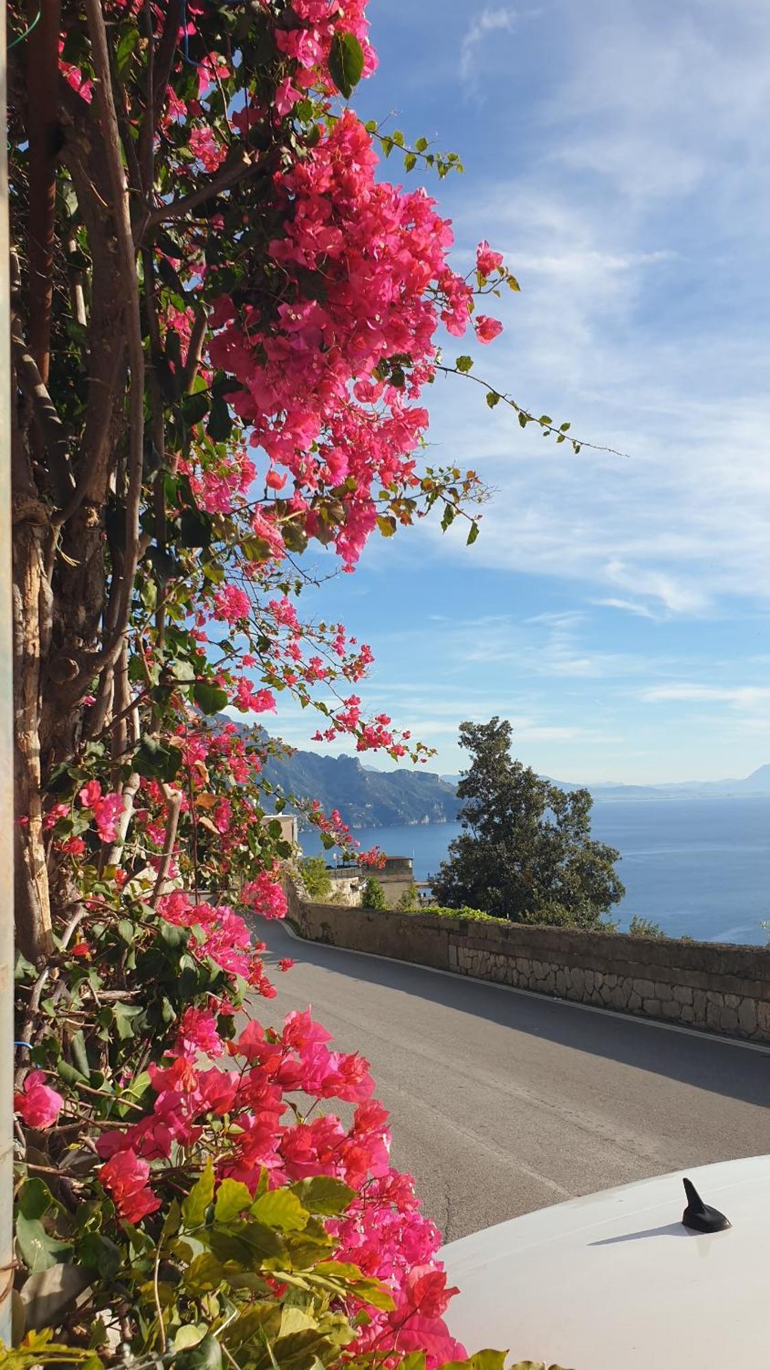 Villa Grace Amalfi Seaview Eksteriør billede